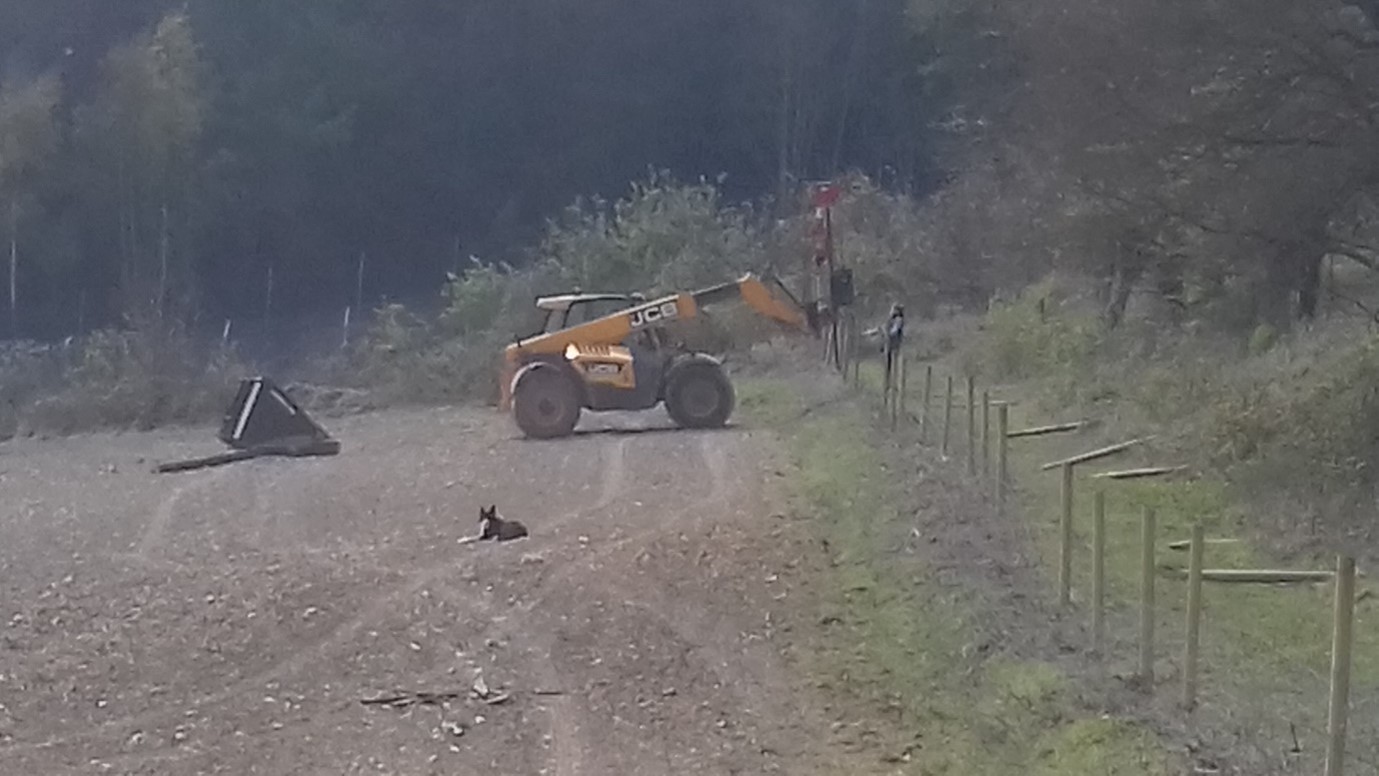 A yellow digger in a muddy field adds fence posts to a new fence line. there is a dog in the foreground.
