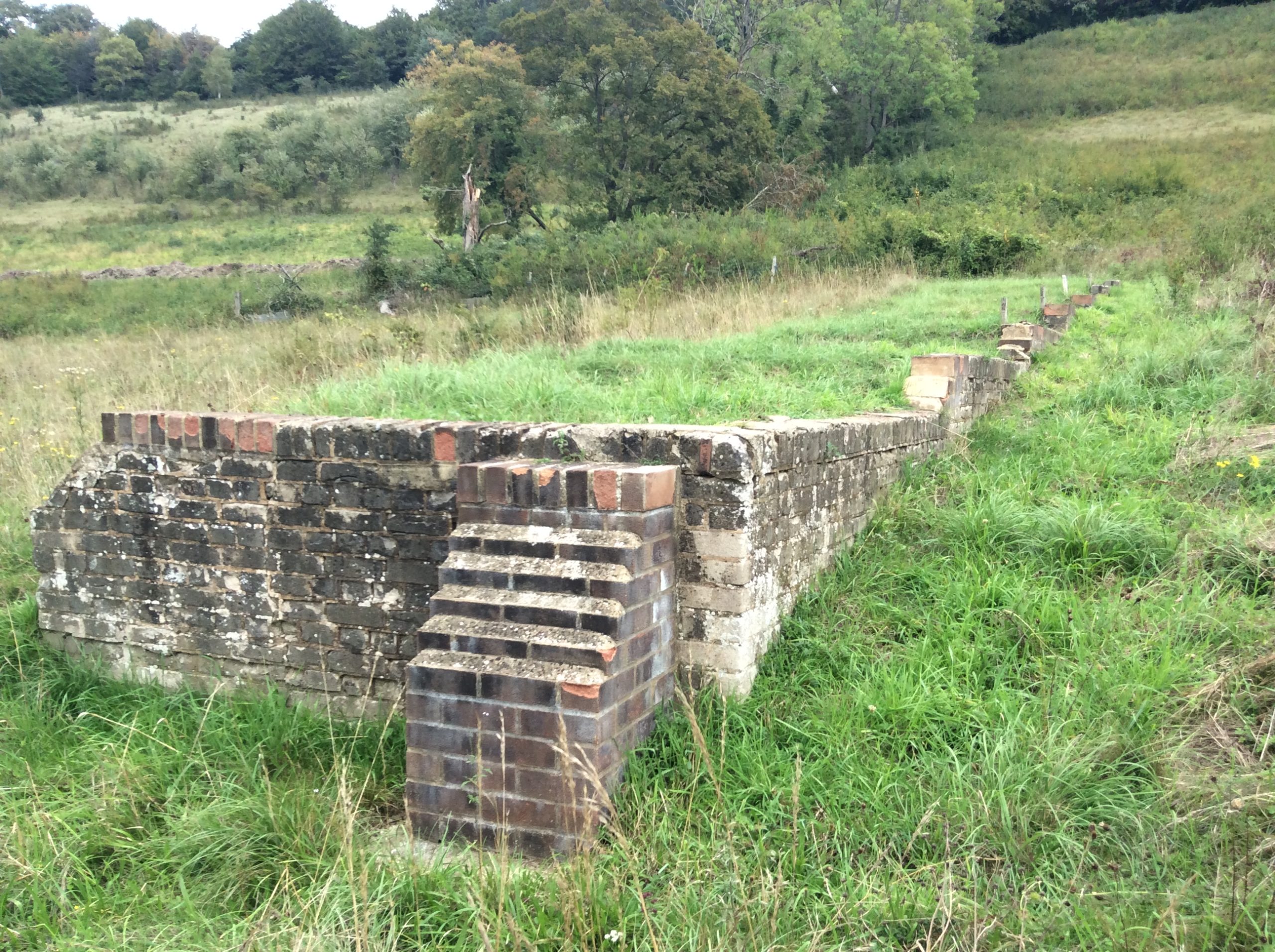 Brick wall in field