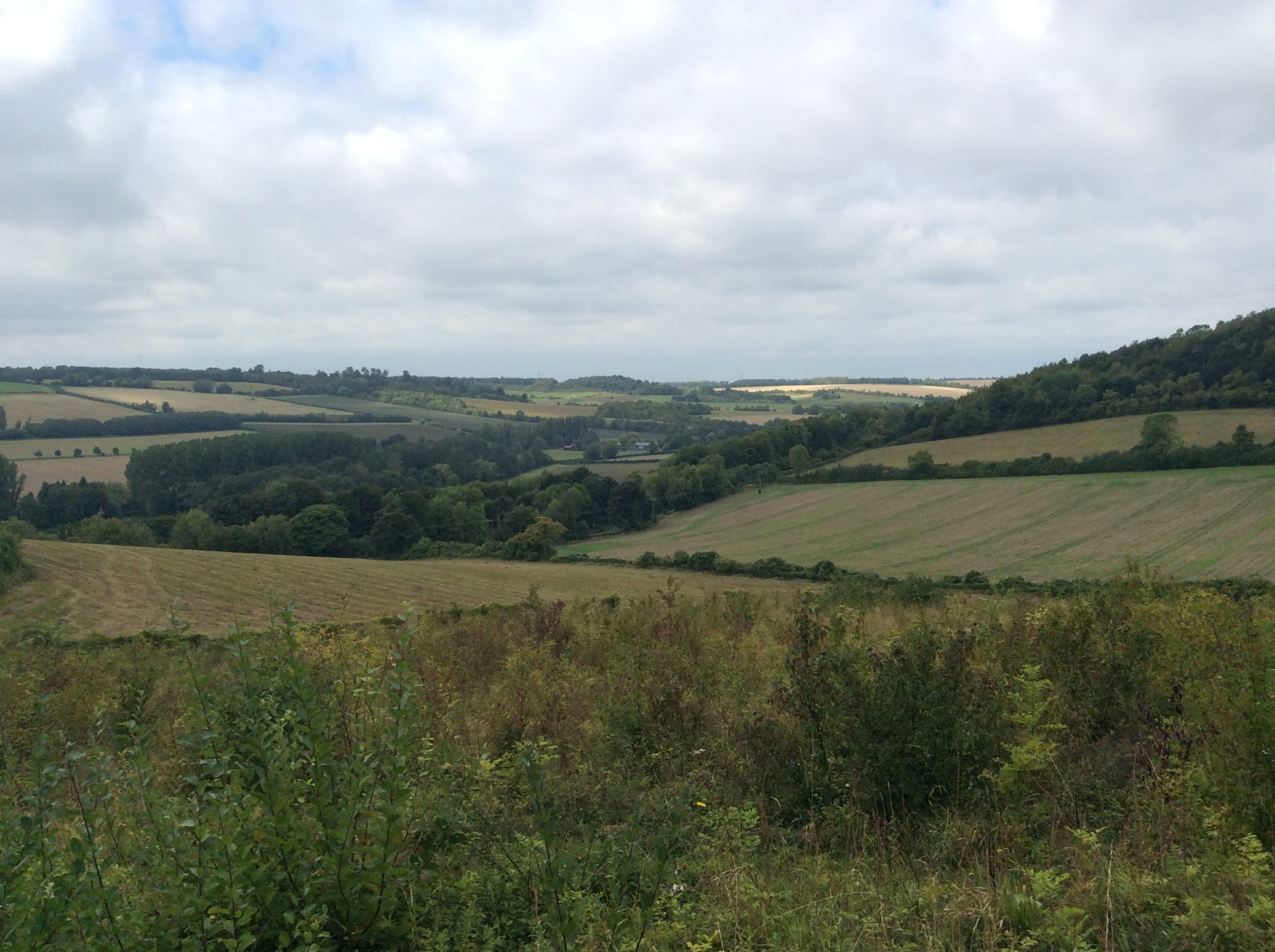Panoramic view of fields and sky