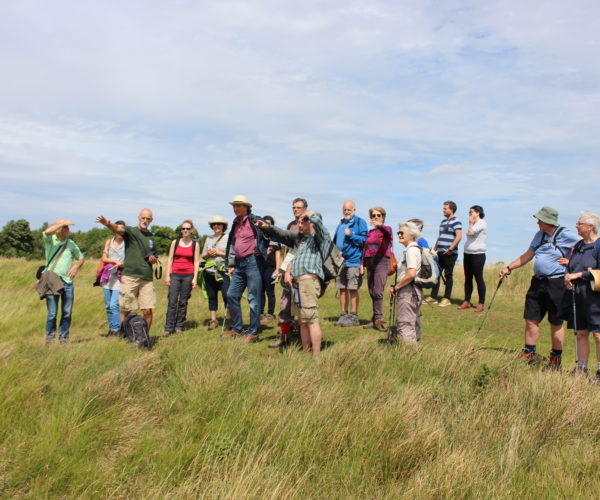 Large group of people looking at view of countryside