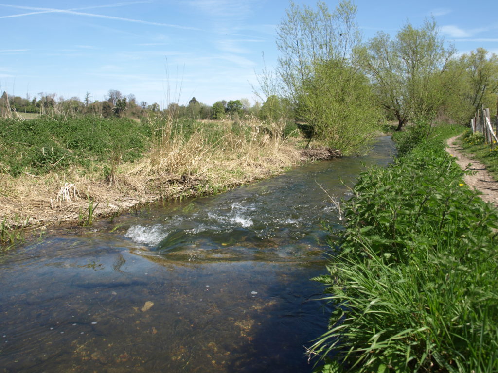 The River Darent