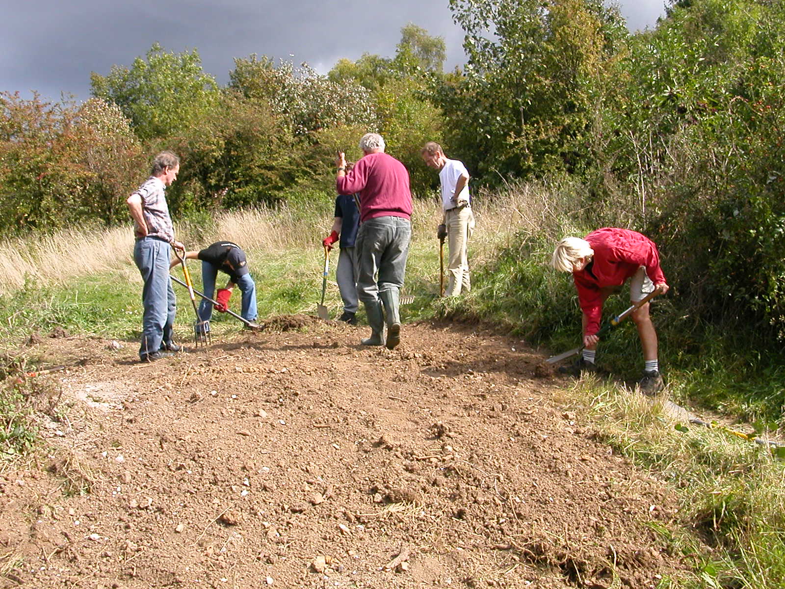 Five volunteers working in a field