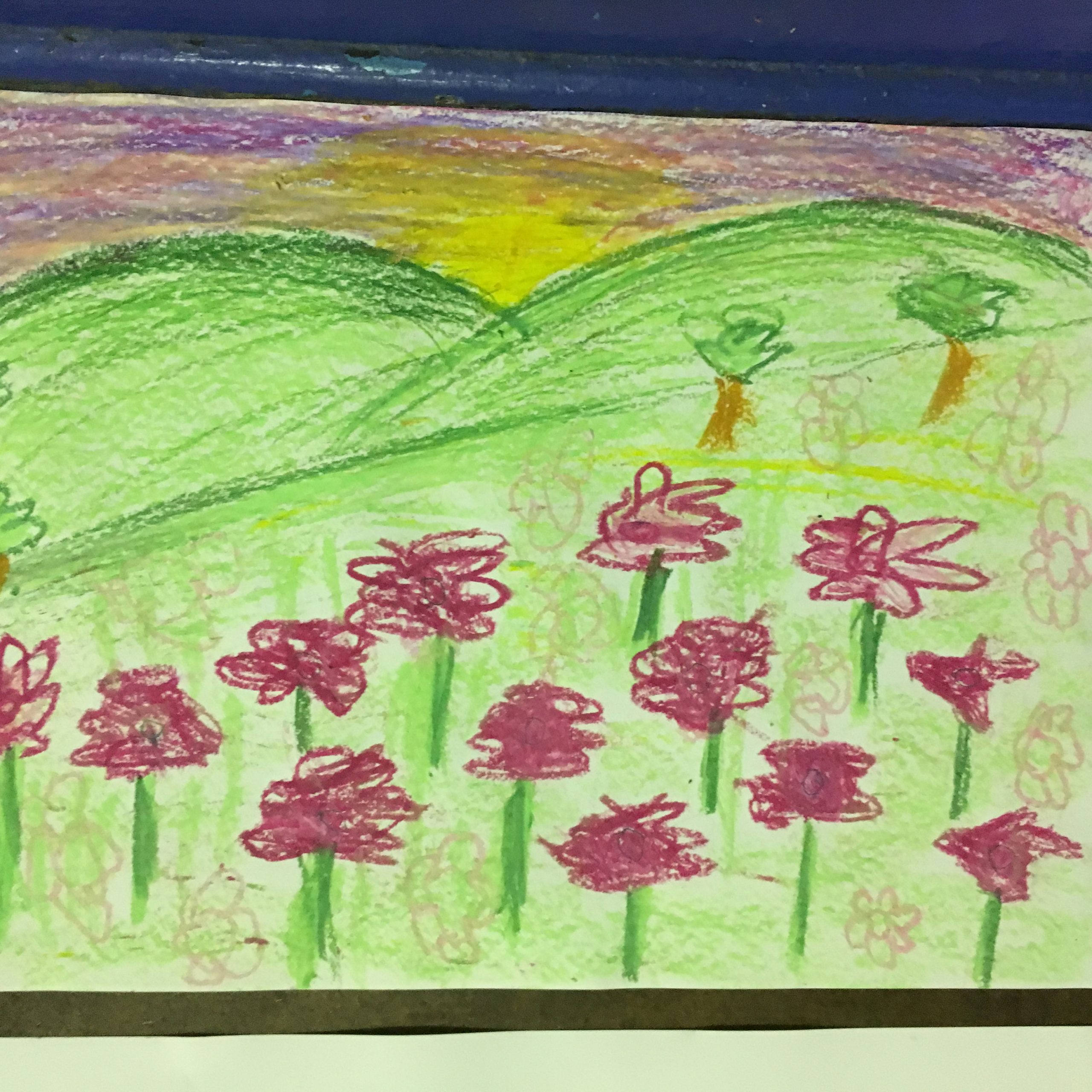 Colour sketch of flowers in foreground and green hills behind
