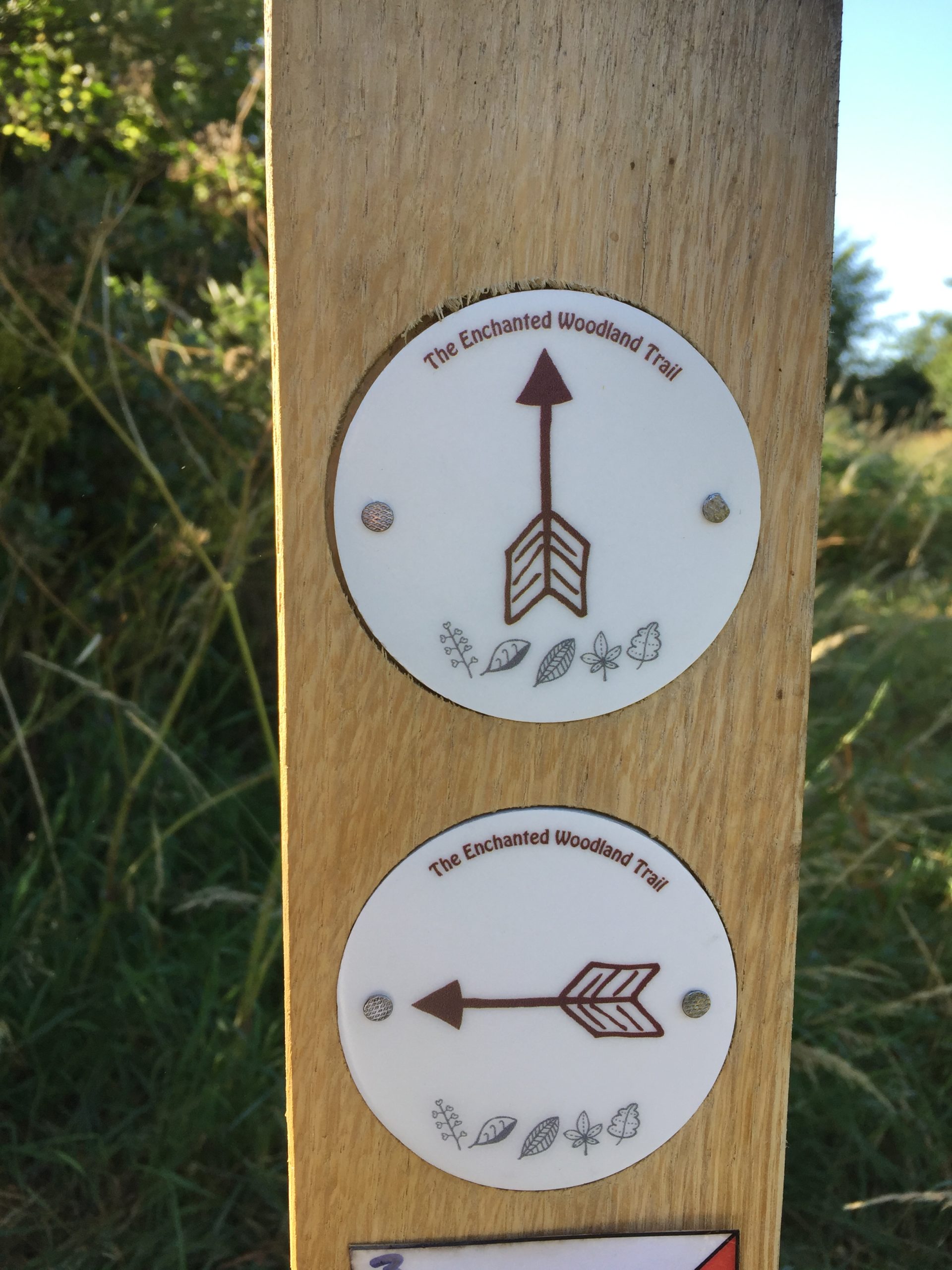 Wooden post with two waymarker arrows
