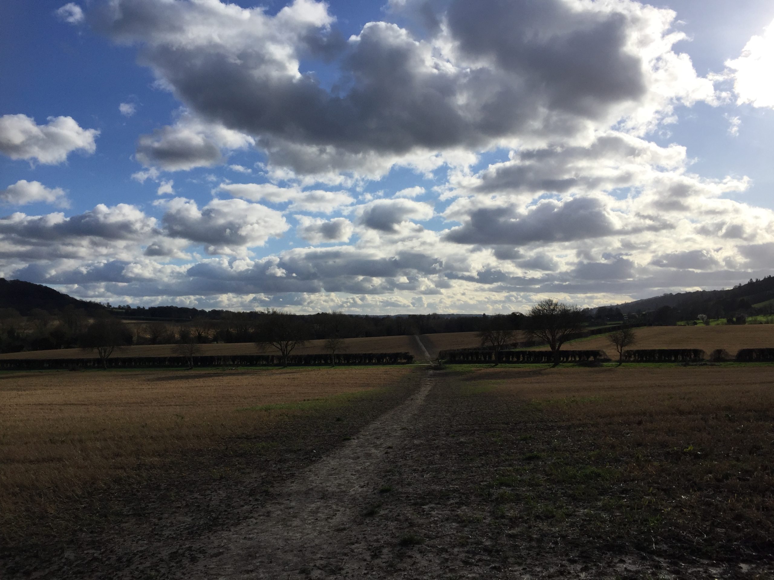 Path through ploughed fields with storm clouds above