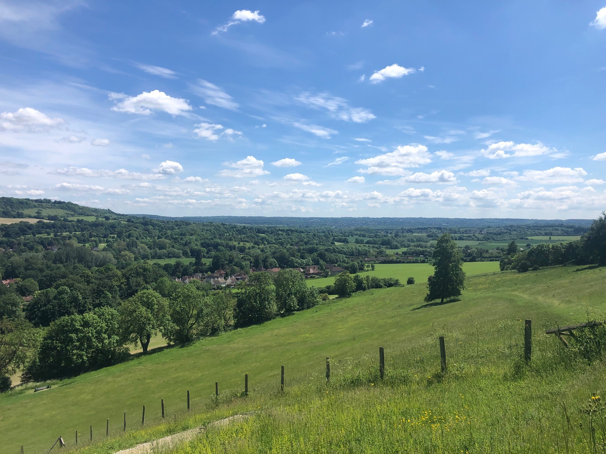Panoramic view with green field and trees below and blue sky above