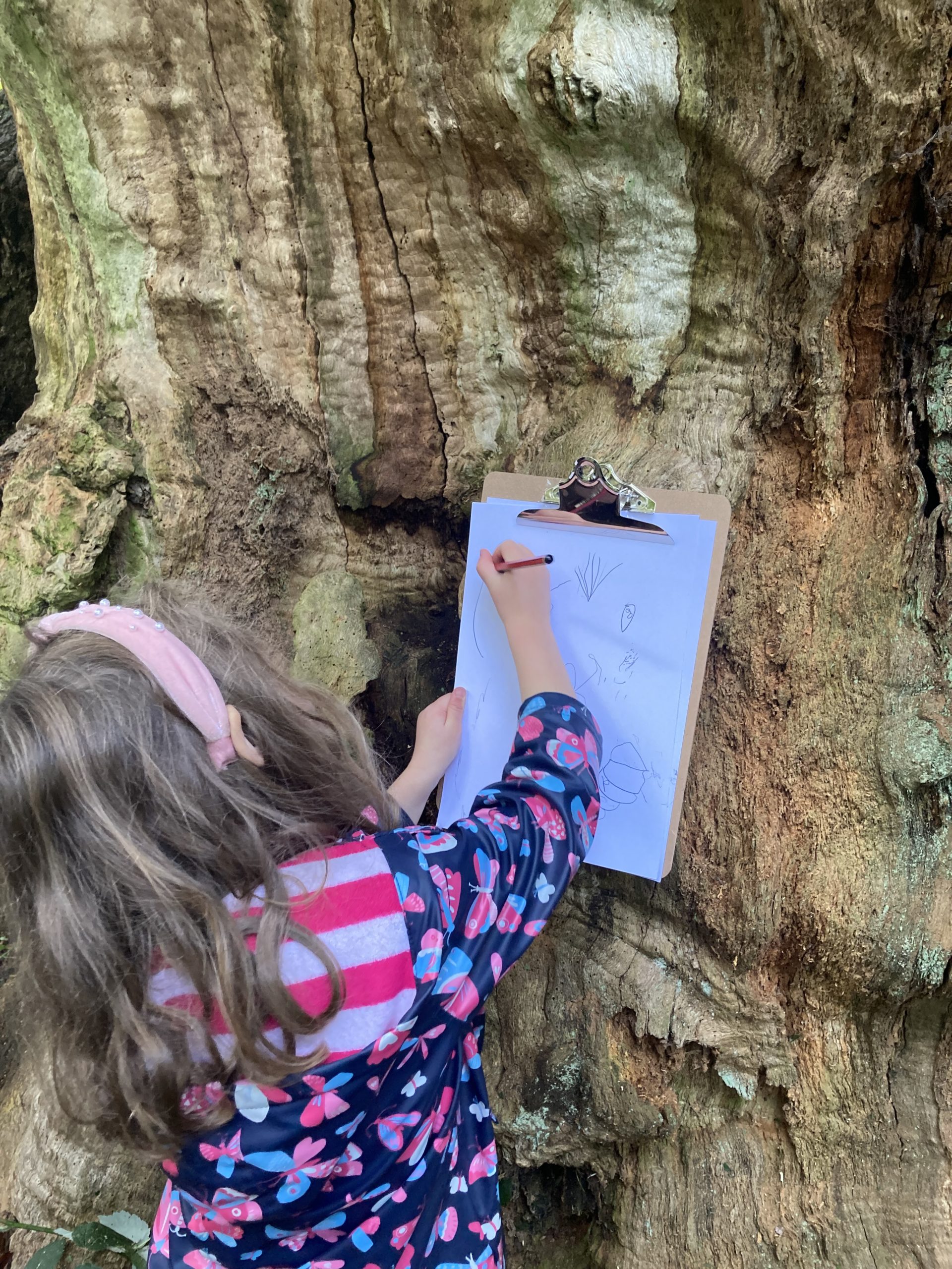 child in front of large tree drawing it