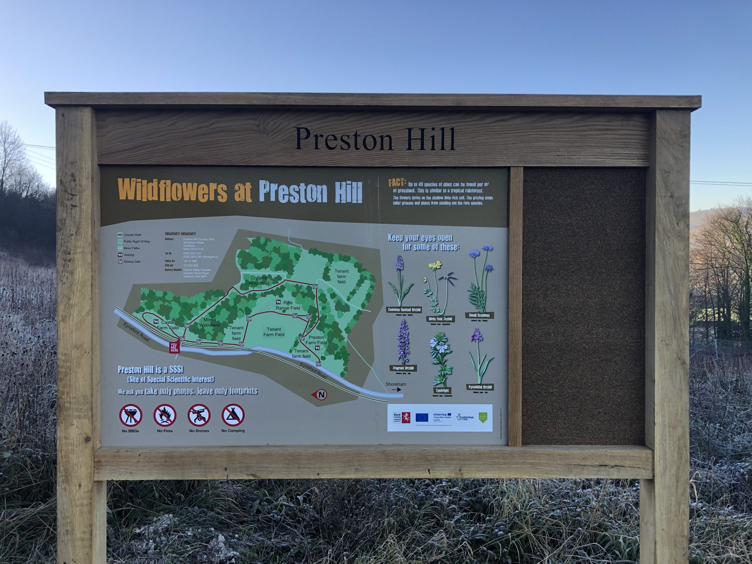 Information board about wildflowers at Preston Hill