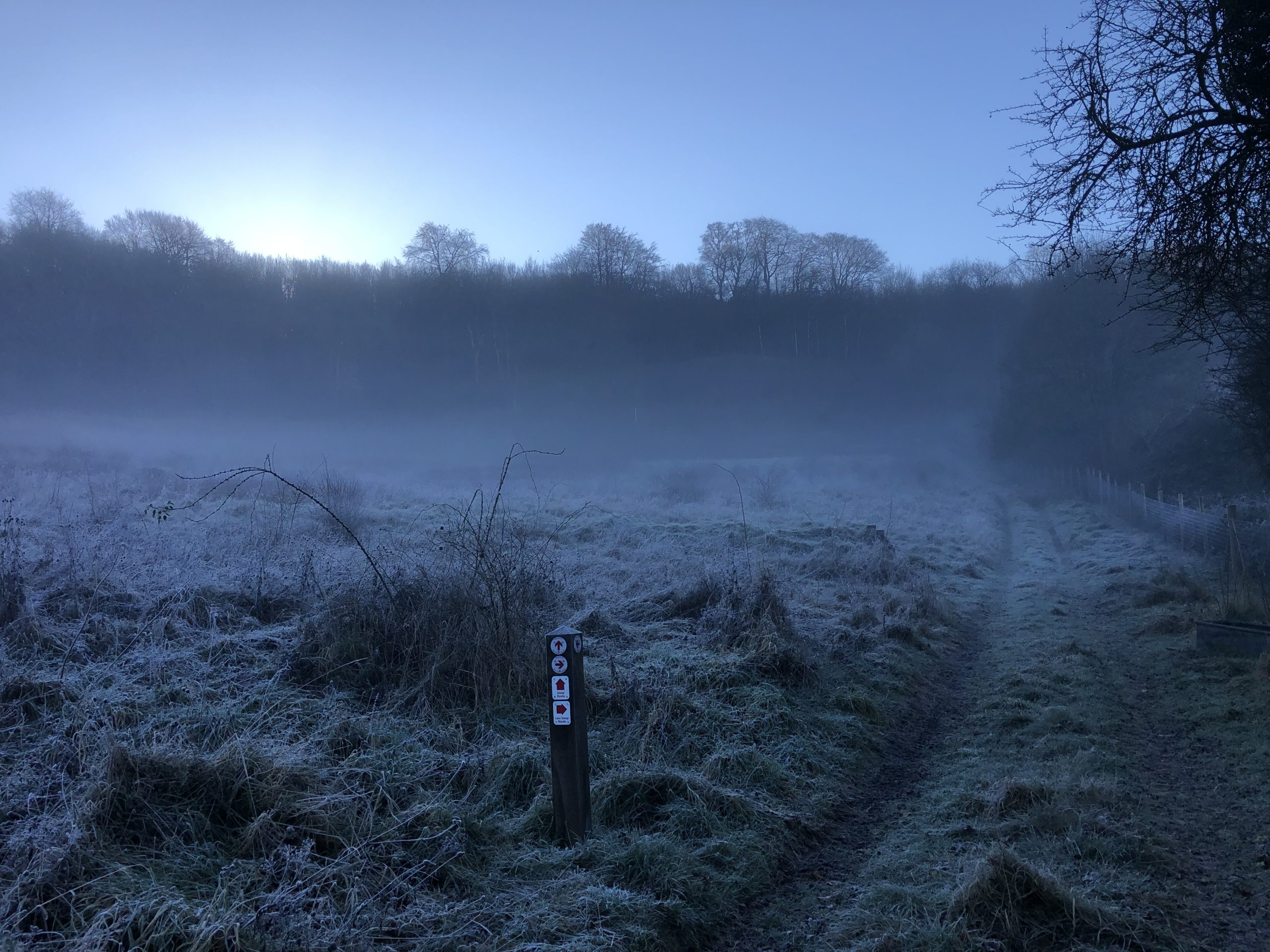 Footpath across field with mist