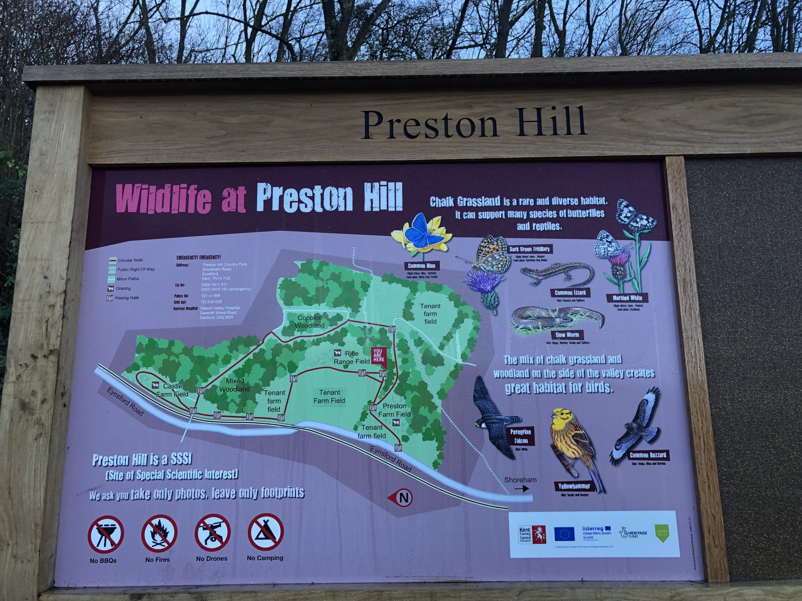 Sign with information of wildlife at Preston Hill