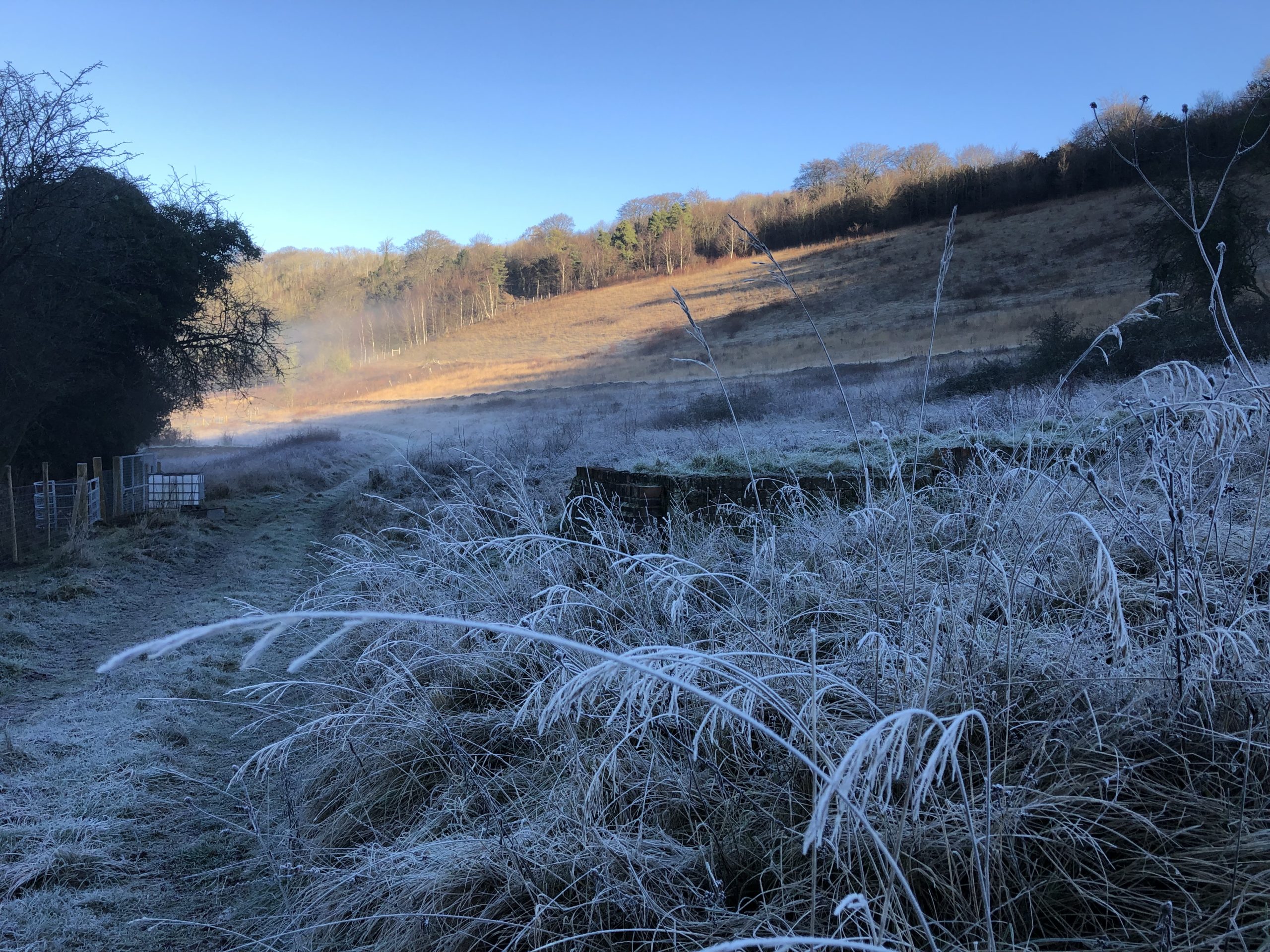 Frost on grass with sloped field and blue sky
