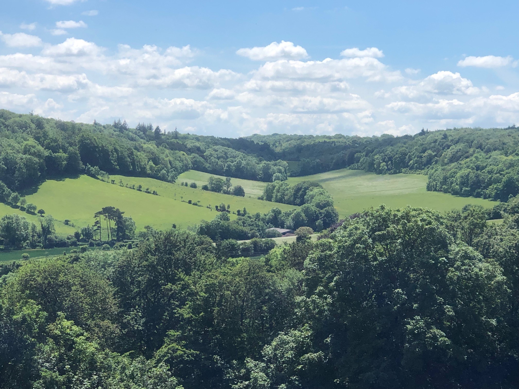 View of green fields and woodlands in the Darent Valley