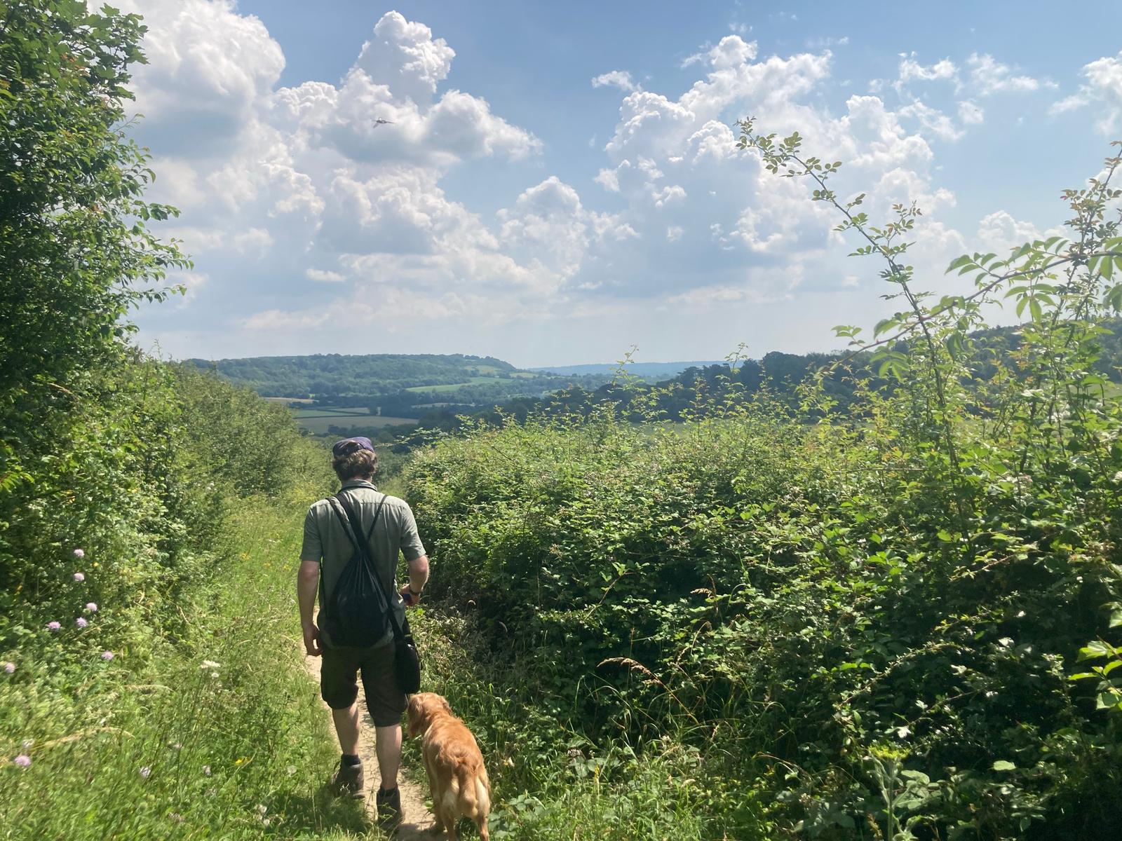 Man with brown dog walking along narrow path between hedgerows
