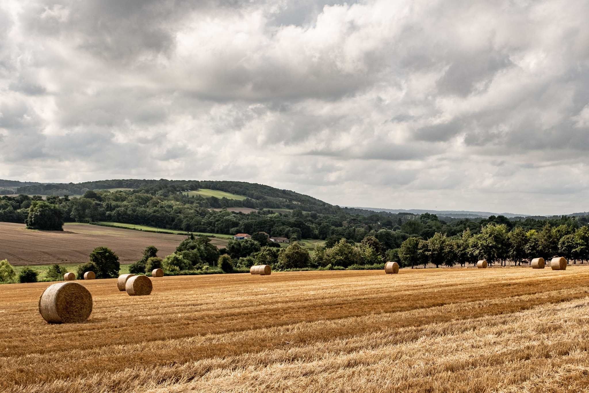 Yellow stubble in field with hay bales and trees behind and large clouds above