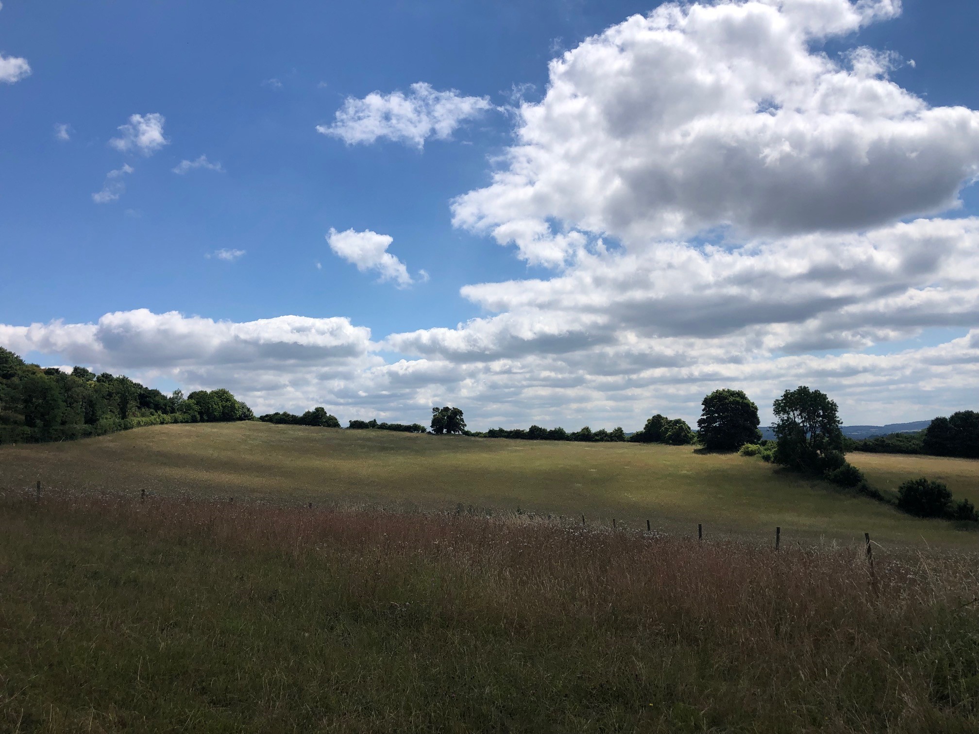White clouds and blue sky above field