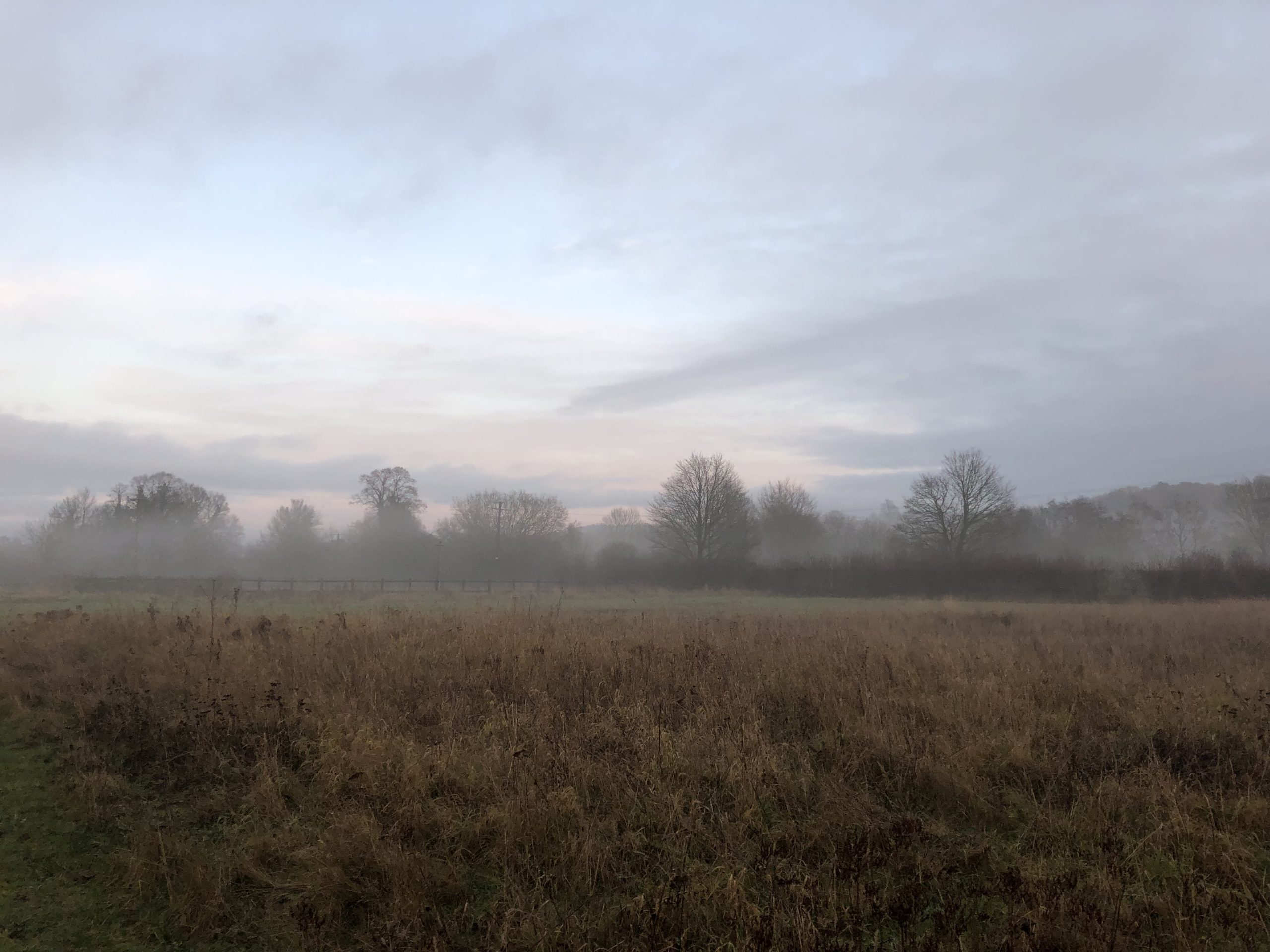 Mist above field