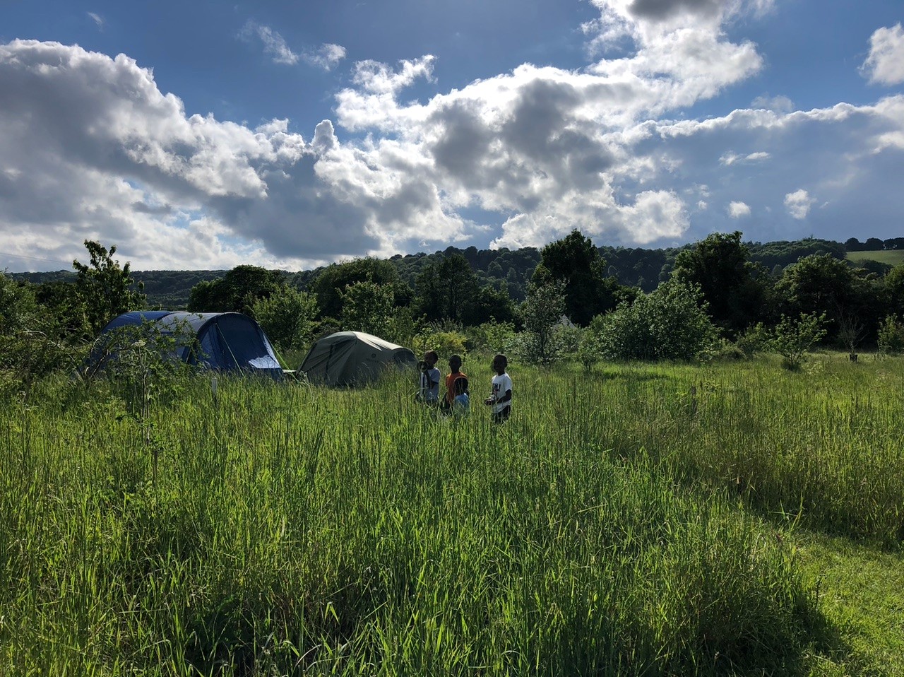 Three children camping in field