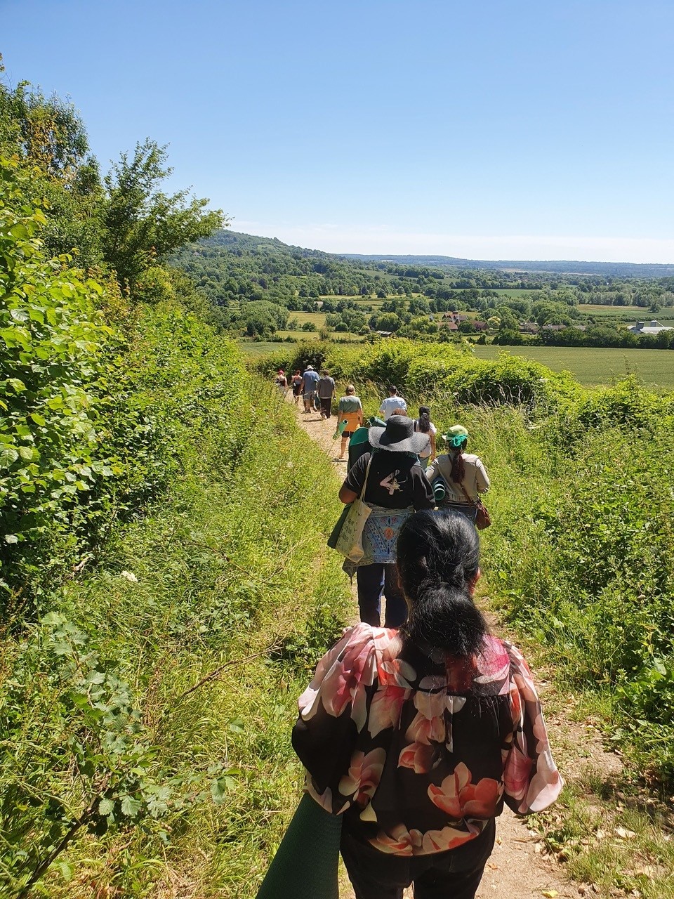 many people walking in a line down a footpath with fields and sky